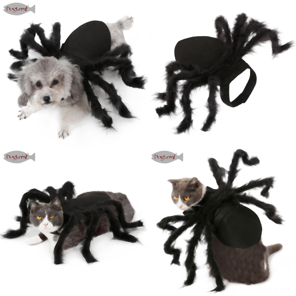 pug dog dress online