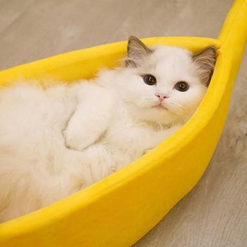 

Banana Cat Bed House Cozy Cute Banana Puppy Cushion Kennel Warm Portable Pet Basket Supplies Mat Beds for Cats & Kittens