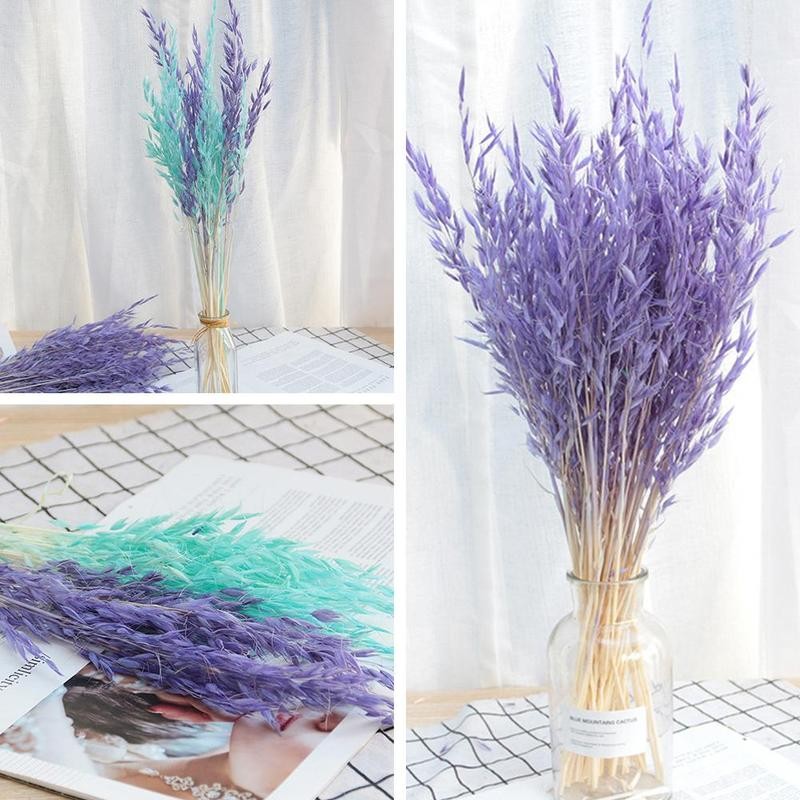 

50Pcs Bunch Dried oatmeal flowers Flowers Artificial Flower For Wedding Party Decoration DIY Craft Scrapbook Home Decor Bouquet