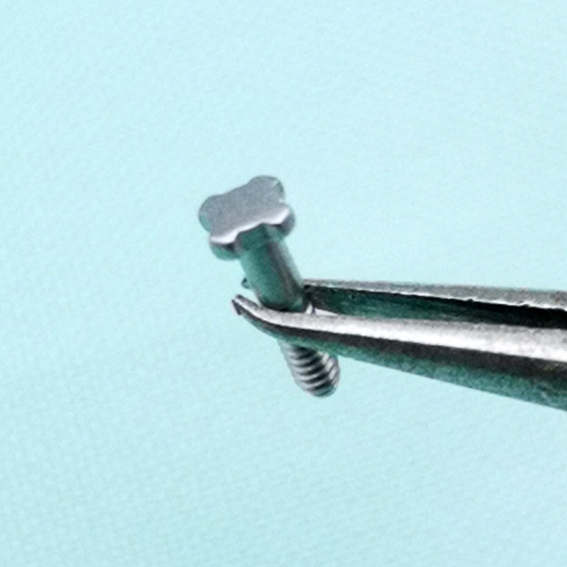 

12 PCS 4 Star Four Star Silver Brushed Stainless Steel Screw For RM RM 50-03/01 RM-11 RM011 Watchband Strap