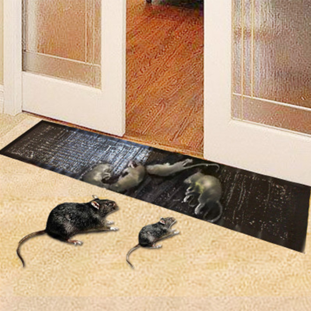 6 Trampas Para Ratas Los Ratones Mata Raton De Control Plagas Trampa Facil NUEVO