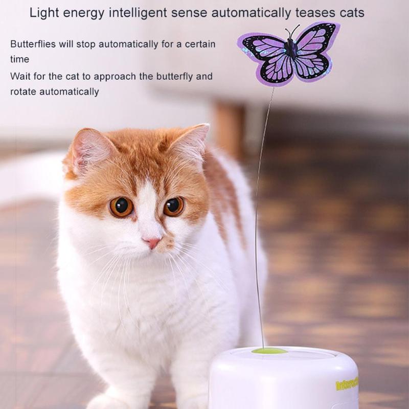 Promotion Papillon Chat Jouet Vente Papillon Chat Jouet Sur Fr Dhgate Com Promotion Papillon Chat Jouet Vente Papillon Chat Jouet Sur Fr Dhgate Com