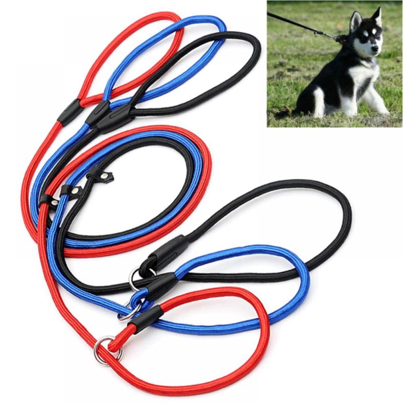 

1pc Pro Pet Dog Nylon Rope Training Leash Running Walk Train For Large Small Cat Pets Slip Lead Strap Adjustable Traction Collar