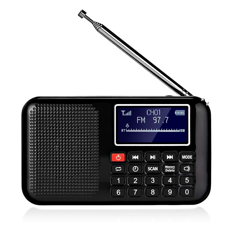 

Portable FM Pocket Radio Speaker Music Player with ,Sleep Timer, Support TF Card (Black