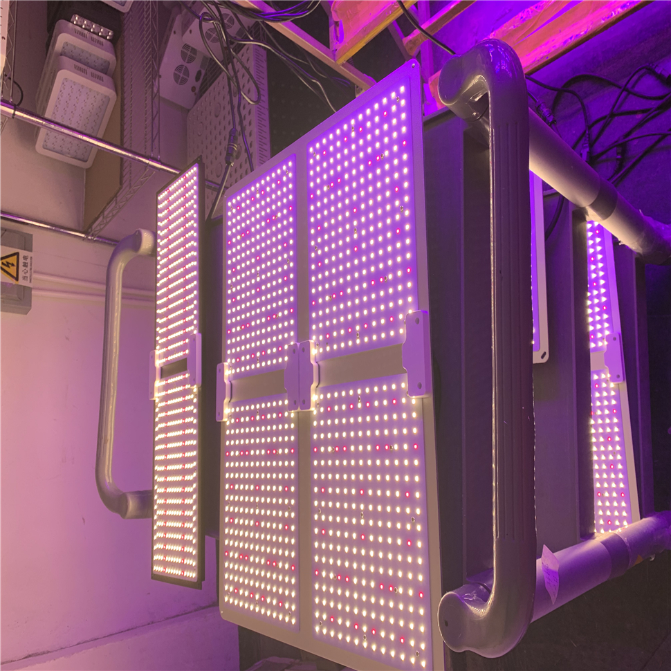 

QB Samsung lm2835 LED Grow Lights 1000W/2000W/4000W Full Spectrum Dimmable Light Board IP65