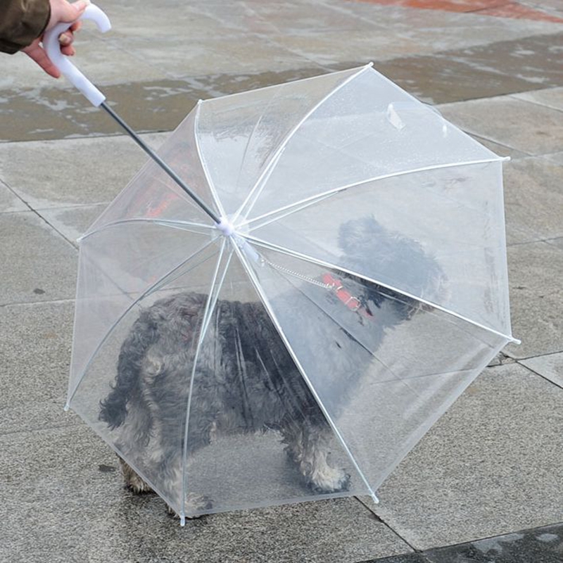 umbrellas for dogs