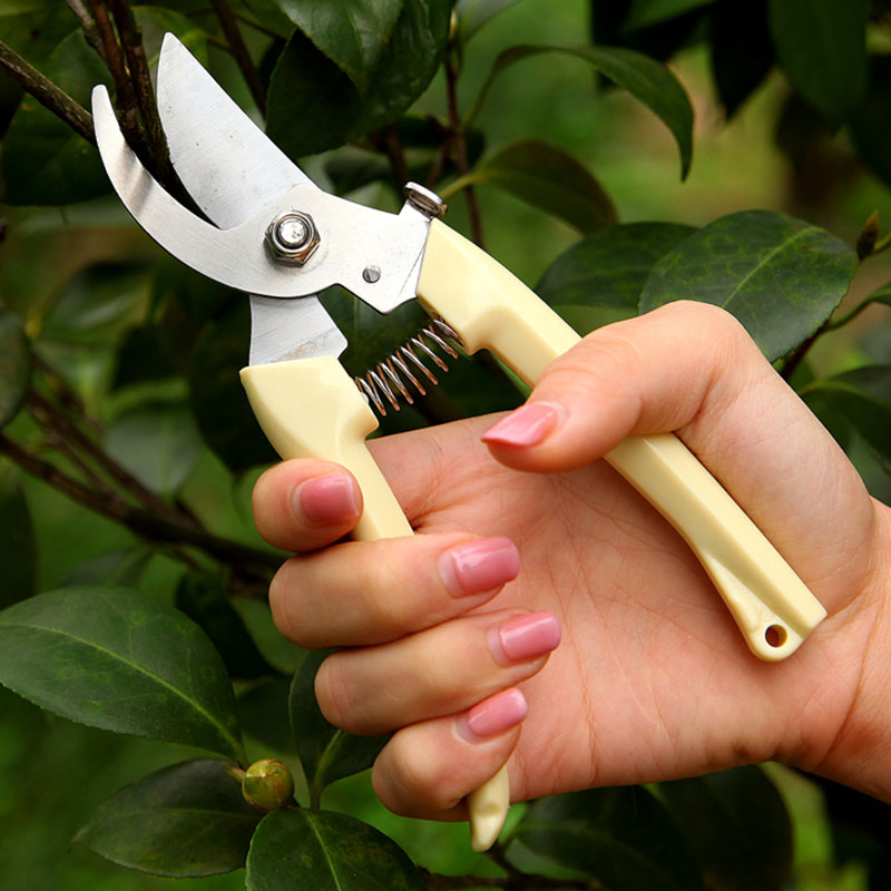 

vanzlife Stainless steel branches pruning picking fruit and flower shears, garden fruit treesn branches scissors gardening tools