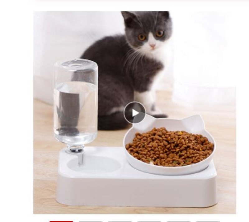 water dispenser with dog bowl