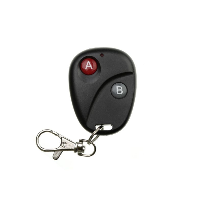 

xuanlongyuan Buick A B Key 2 CH remote control 2CH RF Wireless Transmitter ,315/433.92 MHZ /lamp/ Garage Door