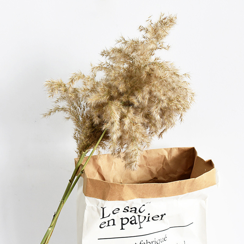 

Dried Reed Branch Natural Plant DIY Home Wedding Scene Decoration Flower Arrangement Photo Props Supplies, 1pc