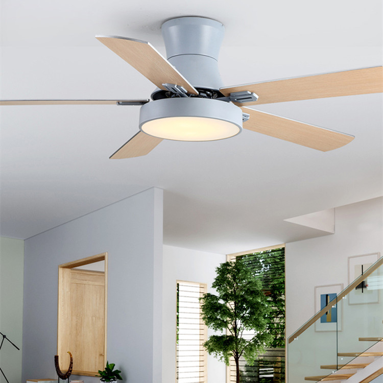 

Nordic LED Ceiling Fan Light For Living Room Home LED Dimming Light With Remote Control AC220V Ceiling Fan Lamp ABS Leaf