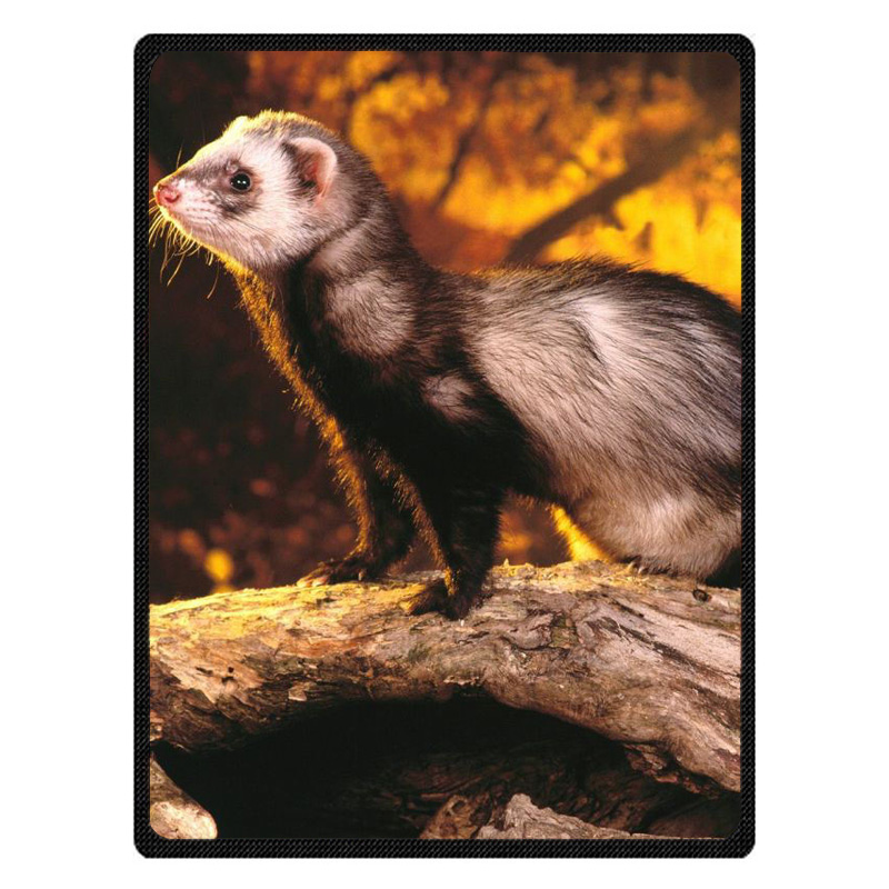 

Custom Photo Blanket Flannel Fleece Fabric Blanket Ferret Sofa Bed Throw Kid Adult Warm