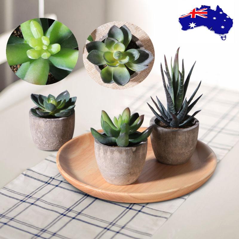 

OUNONA 3pcs Decorative Faux Succulent Artificial Succulent Fake Simulation Plants with Pots, As shown