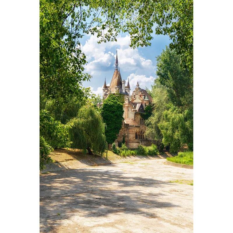 

Photo Backdrops Vintage Castle Trees Vinyl Cloth Scenery Backgrounds Photography Props for Children Baby Portrait Photoshoot