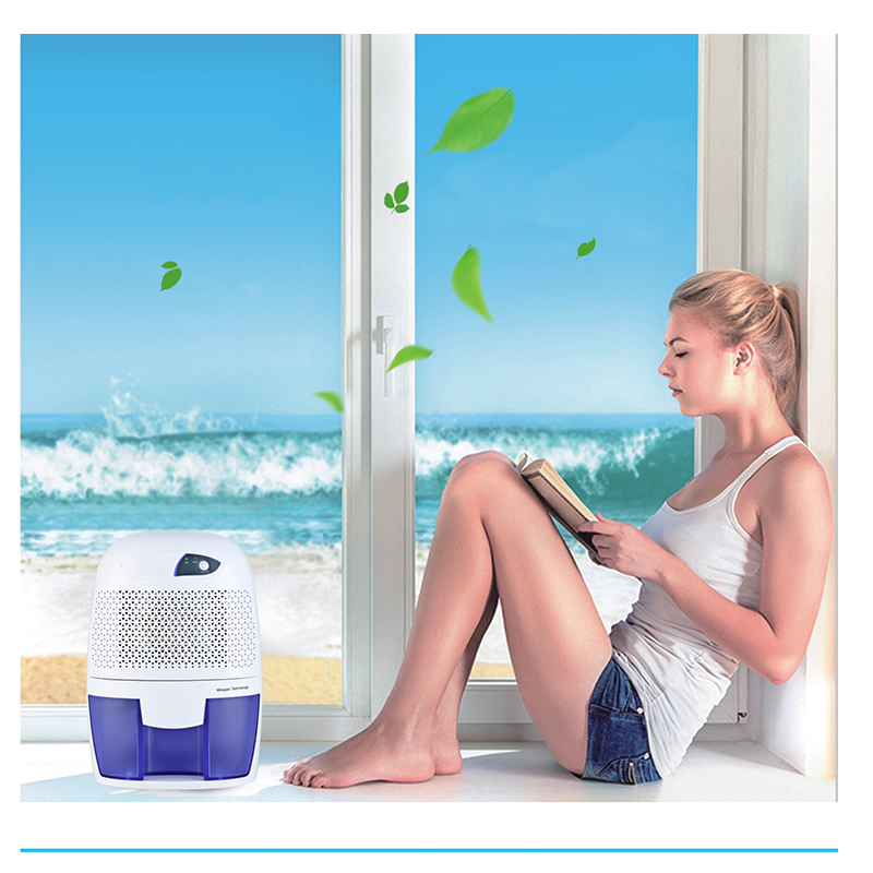 

Dehumidifier Mini Dehumidifier For Home Air Dryer 110V-240V Moisture Absorber