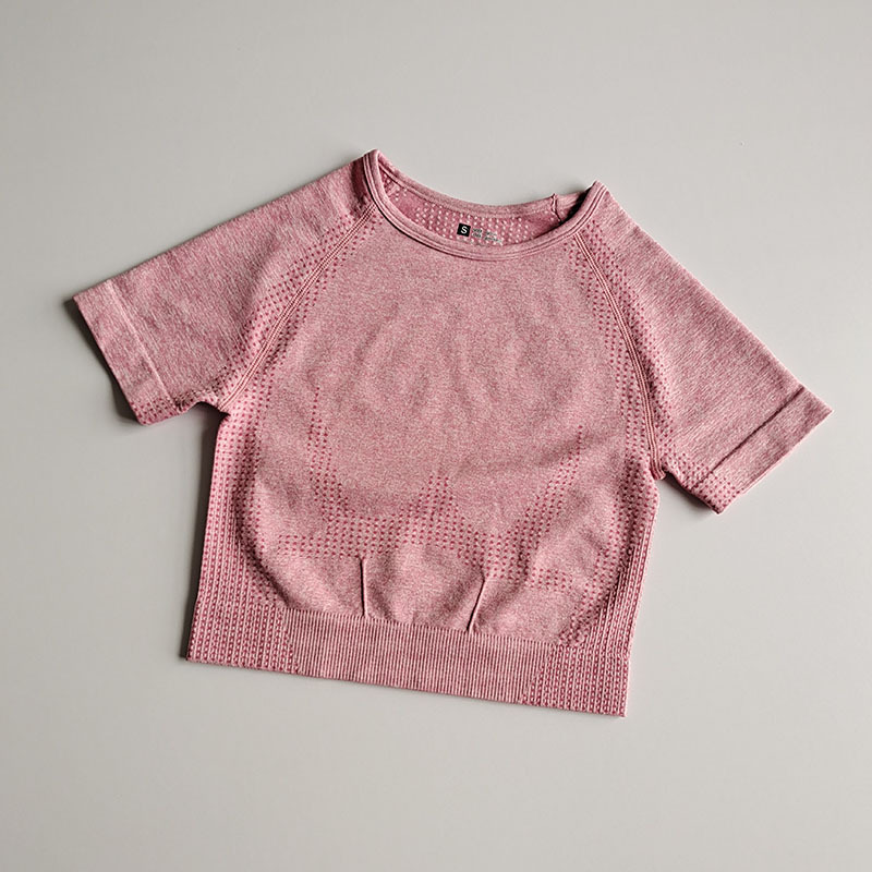 

Short Sleeve Gym Yoga Crop Top Female Seamless Yoga Shirt Women Workout Fitness Running Sport T-Shirts Training Sportswear, Black shorts