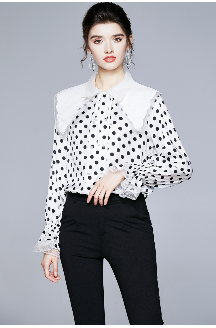 

Women's Blouses and Shirts Fashion Polka Dot Printing Shirt Fake 2 in 1 Lapel Neck Peter Pan one neck can removable, White