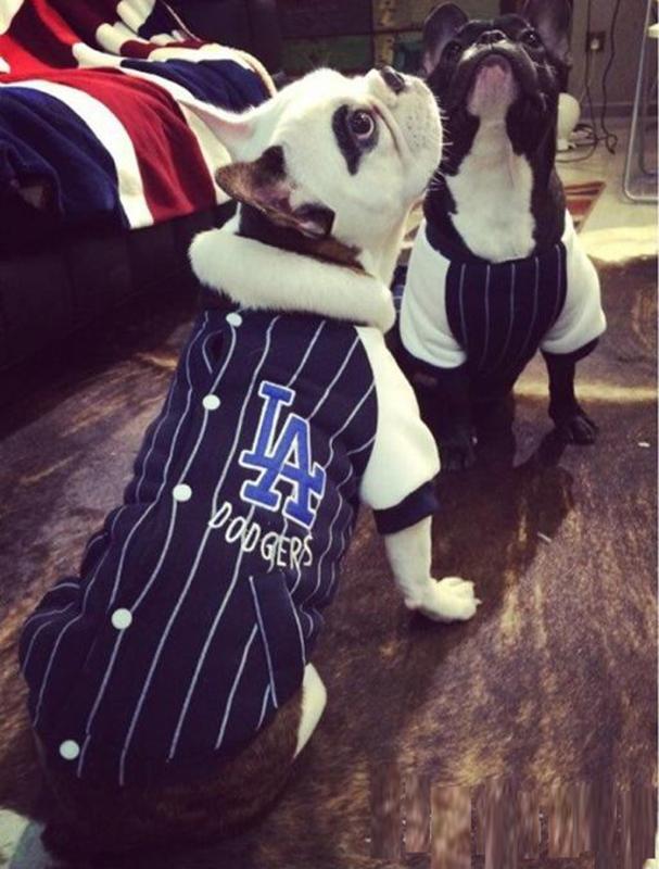 

Winter All Cotton Padded Plush Baseball Sweater Stripe Teddy's Big Dog Suit Small Dog Clothes Clothes Winter, Navy blue