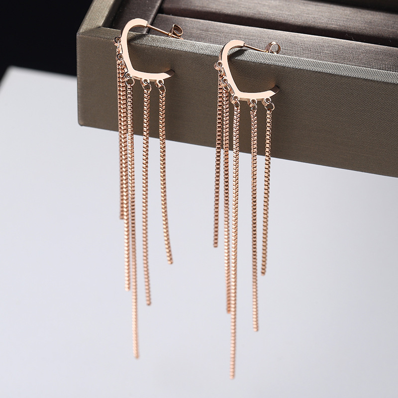 

Tassel Heart Long Drop Earrings For Women Fashion Titanium Earrings Statement Wedding Jewelry oorbellen brincos