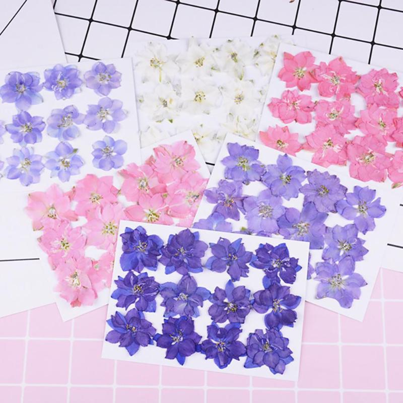 

12Pcs Pressed Dried Flower Plant Epoxy Resin Card Phone Bookmark Plant Specimen DIY Accessories Craft Materials Home Decoration, Dark blue