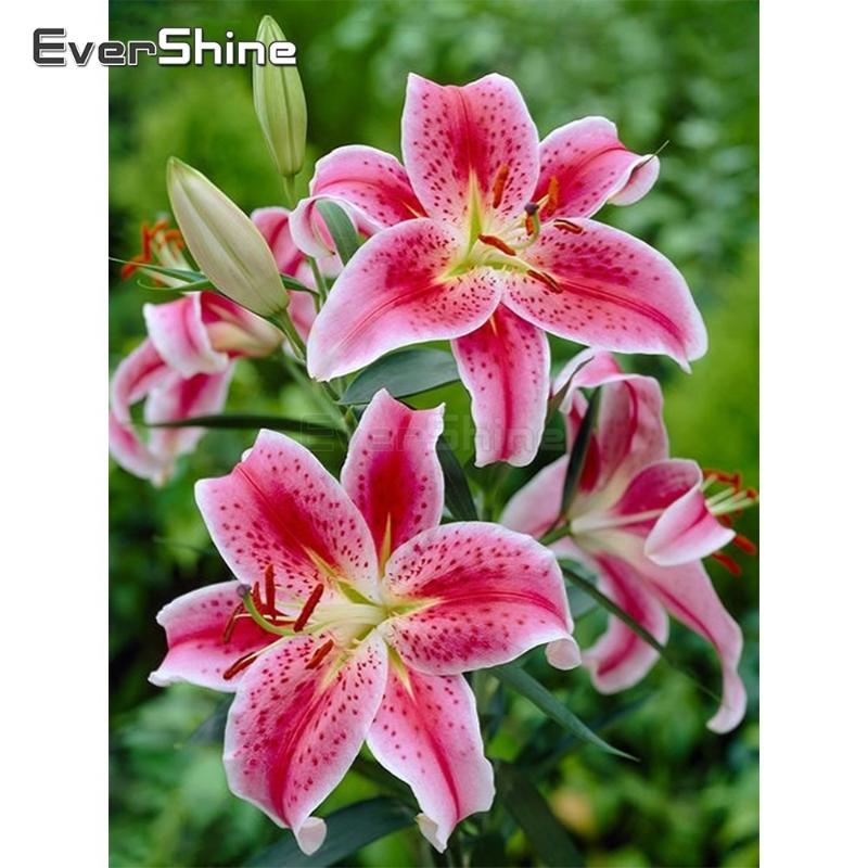 

EverShine Diamond Painting With Square Rhinestones Flowers Diamond Mosaic Lily Cross Stitch Embroidery Bead Picture Kits