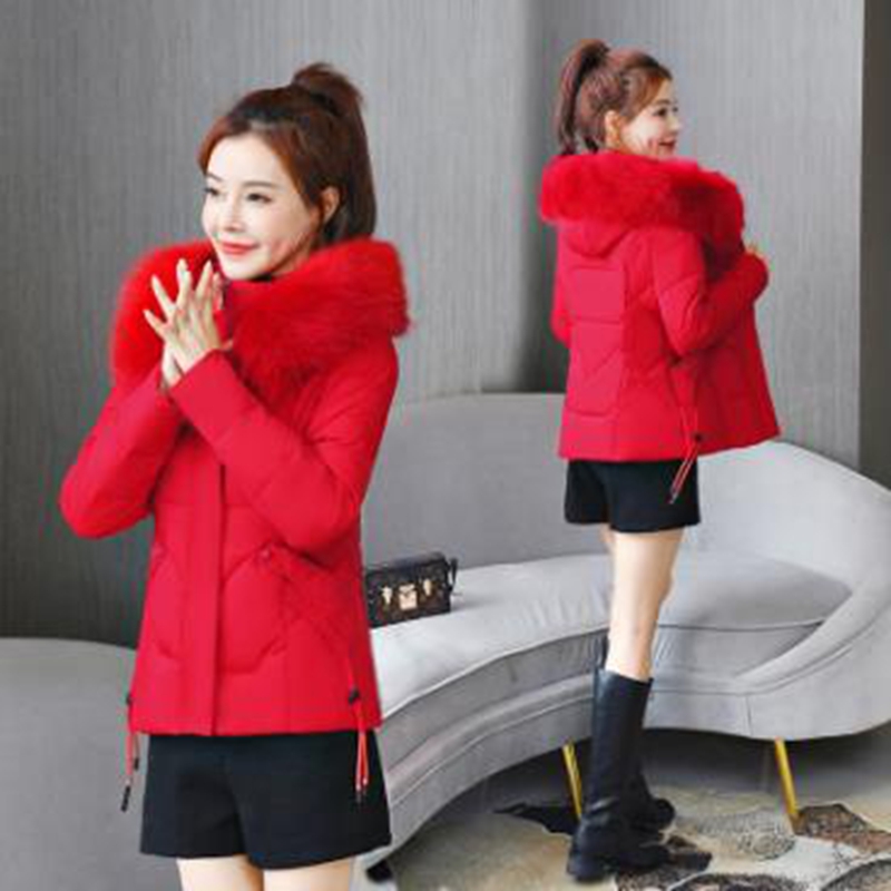 

Wholesale Fashion Short Women's Winter New Style Slim Big Fur Collar Student Cotton Jacket, Green