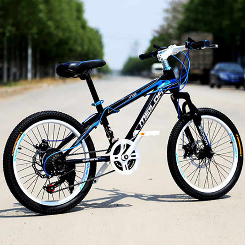 blue bike student discount