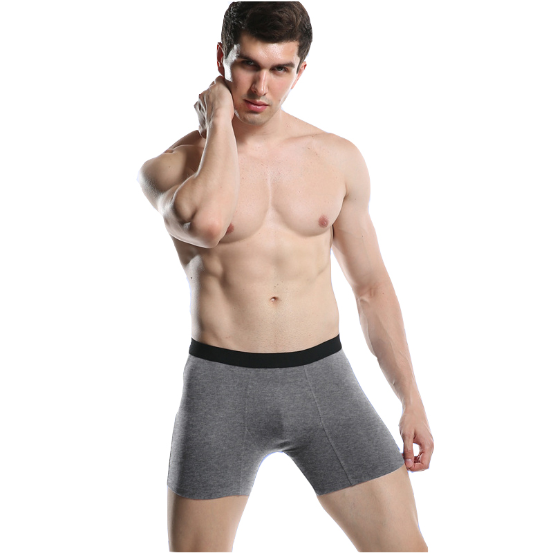 

10Pcs\lot 2020 Shorts Mens Underwear Soft Boxers Cotton Boxer Men Solid U Pouch Sexy Underpants Cueca Cotton Pants Trunks, Gray 10 pcs