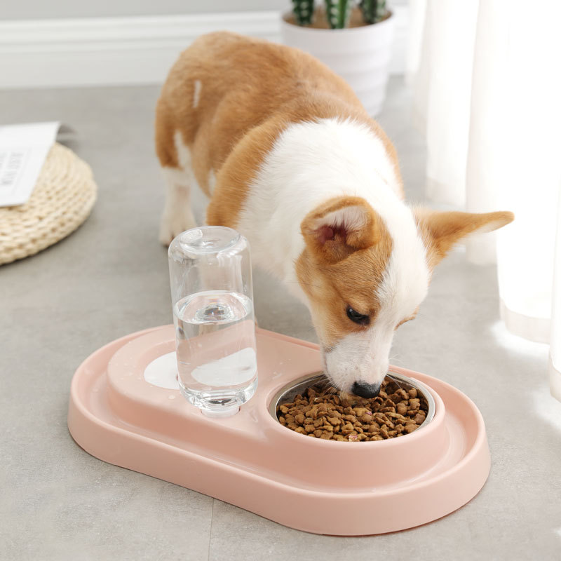 

Cat Bowl Dog Water Feeder Bowl Cat Kitten Drinking Fountain Dish Pet Goods Automatic Water Feeder for Dog
