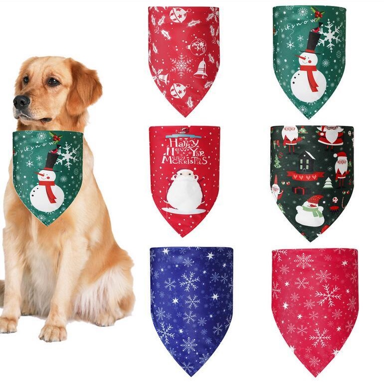 kenny omega cat shirt