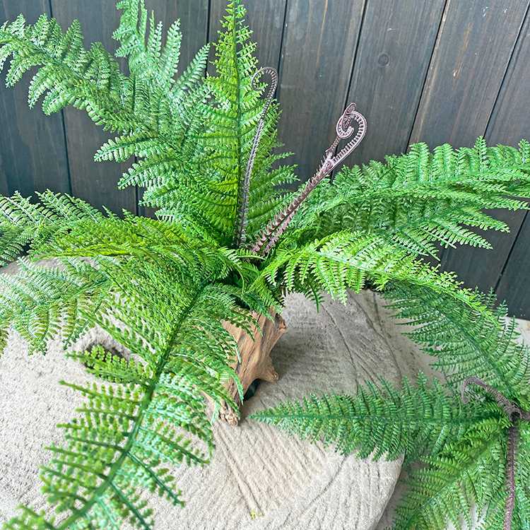 

Simulation of fern, grass, fern leaf, fern, engineering, landscaping, green plant, wall hanging, hotel, soft decoration, wedding, Light green