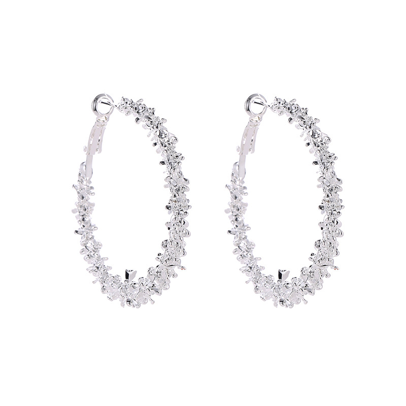 

Irregular Circle Earrings Alloy Ear Drop Jewelry for Women Party Wedding JL