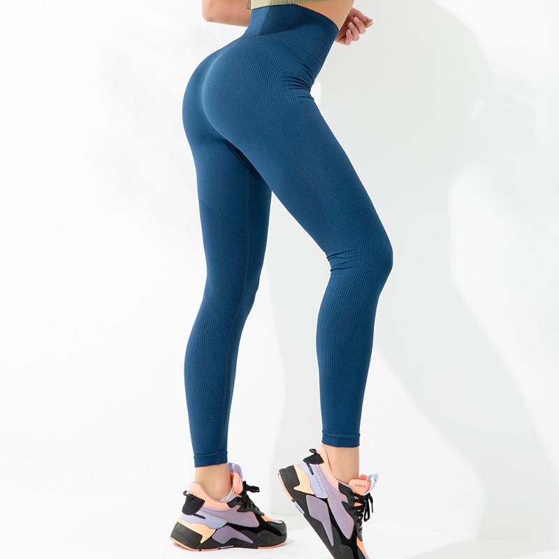 

Gym Leggings Women Woman Legging for Workout High Waisted Yoga Pants Peach Buttocks Seamless Knitted Exercise Tummy Leggings, Blue