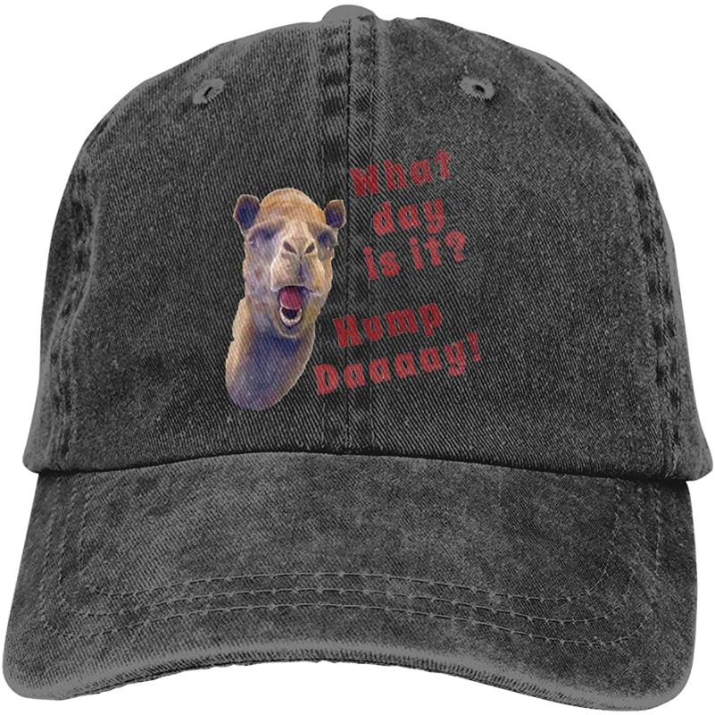 

Camel Hump Day Unisex Soft Casquette Cap Vintage Adjustable Baseball Caps, Gray