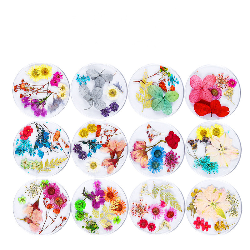 

12 Style Mix Dried Flowers Nail Art Decorations Natural Dried Dry Flower Nail Art Decoration