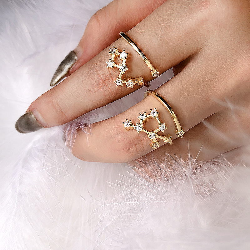 

Double Fair New Design Sweet Romantic 12 Constellation Adjustable Finger Rings For Women Micro-inlaid Zircon Jewelry KCR081M