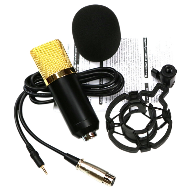 

BM700 Microphone Condenser Phone Computer Microphone for Live Broadcast Recording Singing