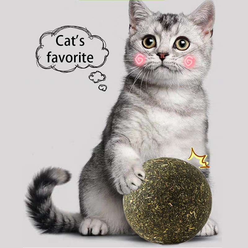 

Cat Catnip Toys Rotatable Catnip Ball Healthy Cat Beneficial Interactive Pet Toys Mint Home Chasing Game Pet Supplies