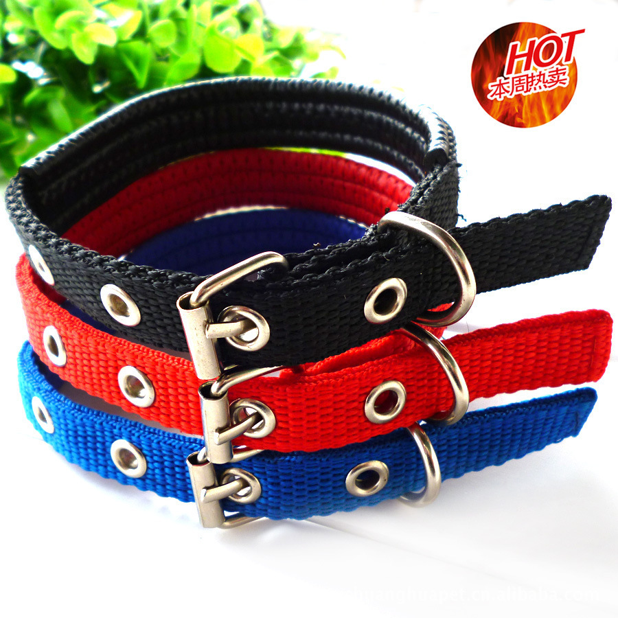 

Colorful Foam Pet Collar Pet Collar Pet Traction Ring Dog Collar Factory