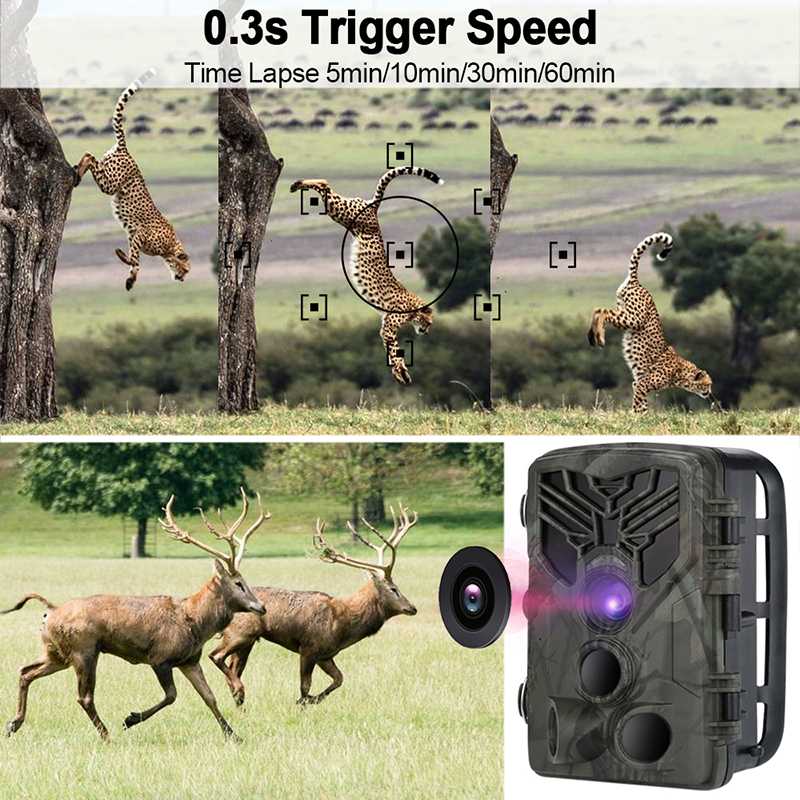 

40M 1080P Wireless Hunting Cameras Bluetooth Wifi Trail Action Camera 20MP Night Vision Device Wildlife APP Photos Video Camera