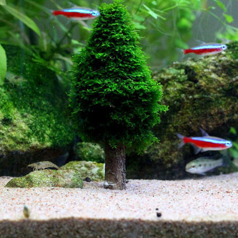 

Simulation Xmas Moss Christmas Moss Tree Plant Grow Aquarium Tank Landscape Decor New Fish Tank Aquarium Decoration ornament ef