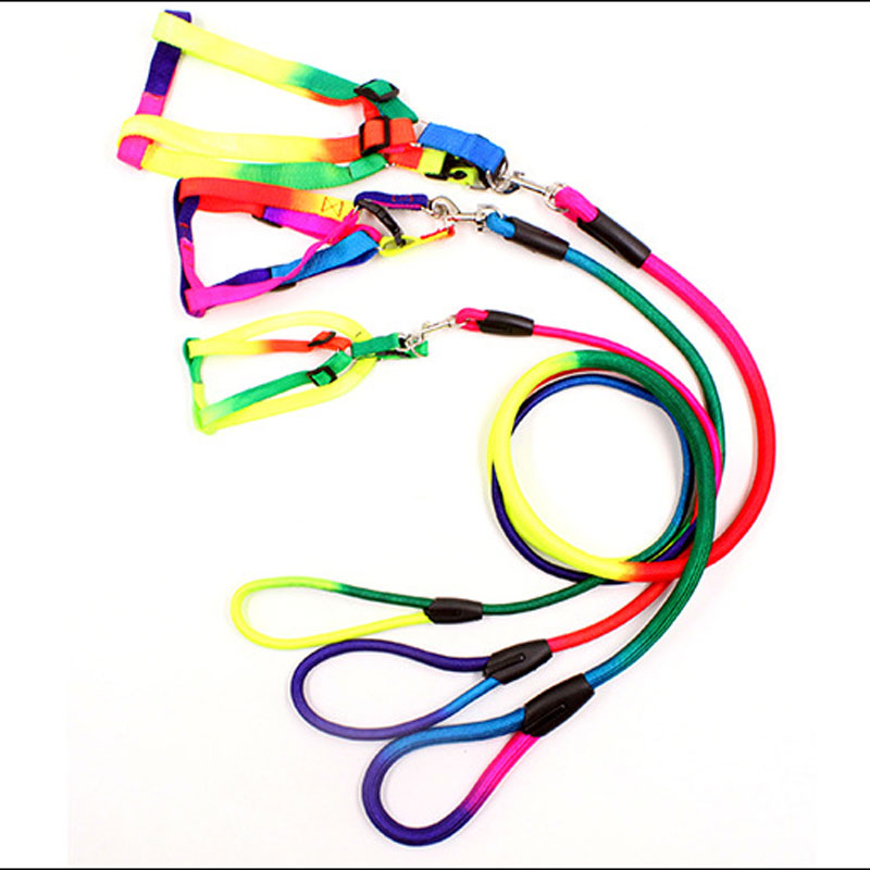 

Colorful Dog Leash Rope 1.2M Nylon Belt Pet Cat Traction Walking Lead Round Rope Training Leashes
