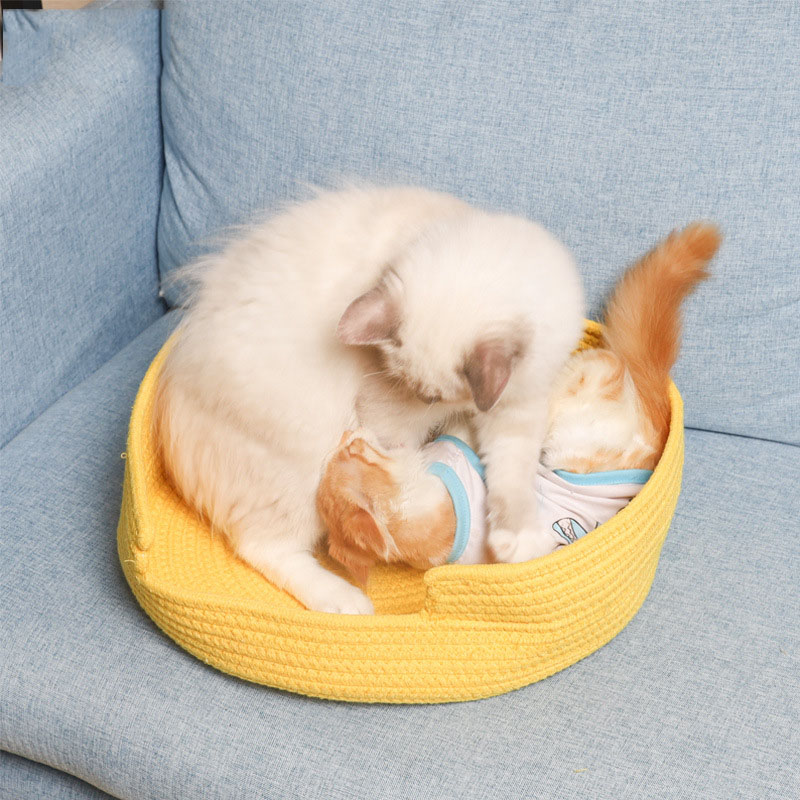 

2020 Cat Scratcher bed Four Seasons Available Cat Pad Pet Supplies cave pet dog bed