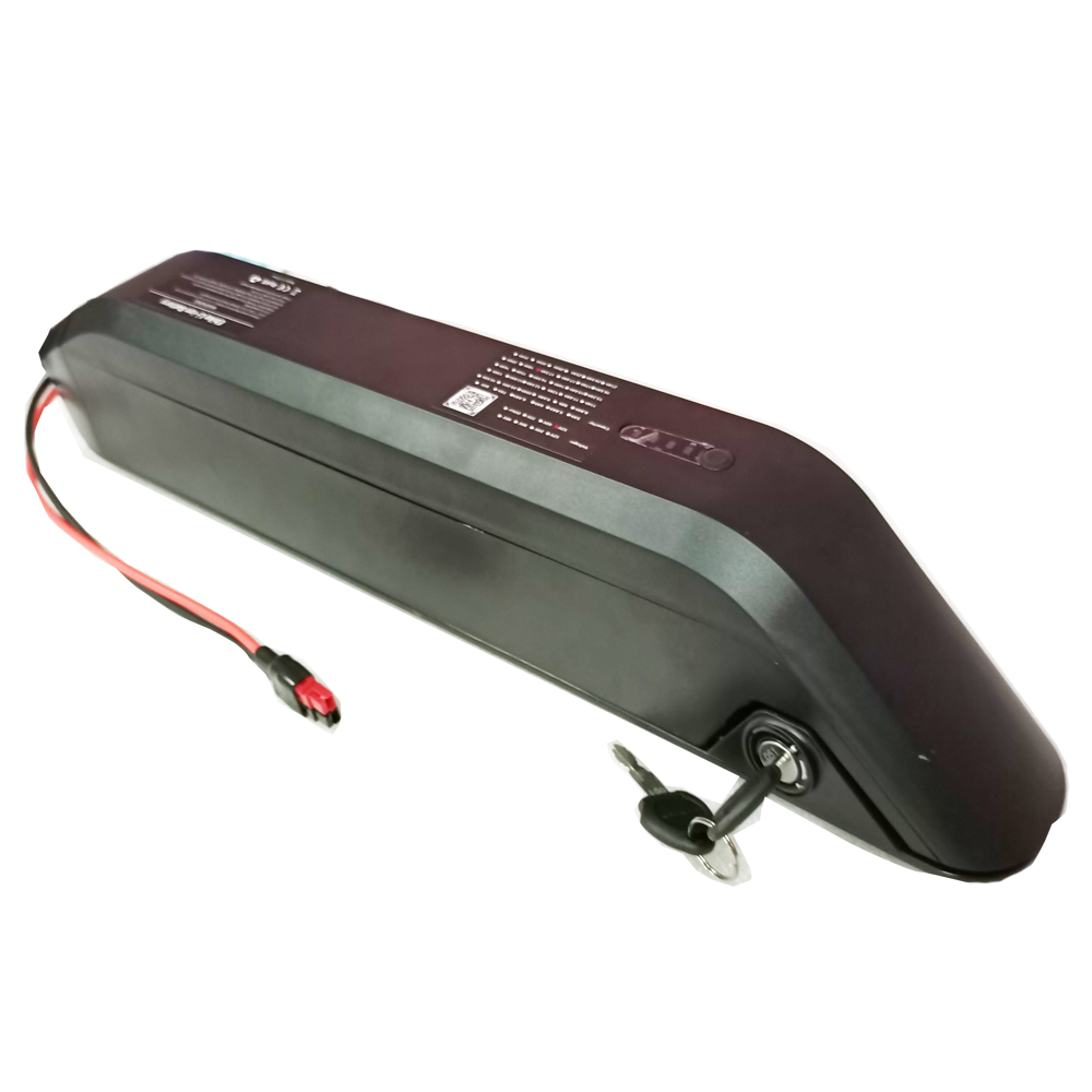 

EU US NO TAX Reention KIRIN 500W Ebike battery pack 36V 48V 10Ah 11Ah 13Ah 15Ah 17Ah 750W Li-ion Batteries with charger