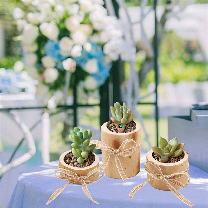 

Crafts Decoration Creative Pine Candlestick Home Decoration Meaty Small Flower Pot Handmade Candle Holder