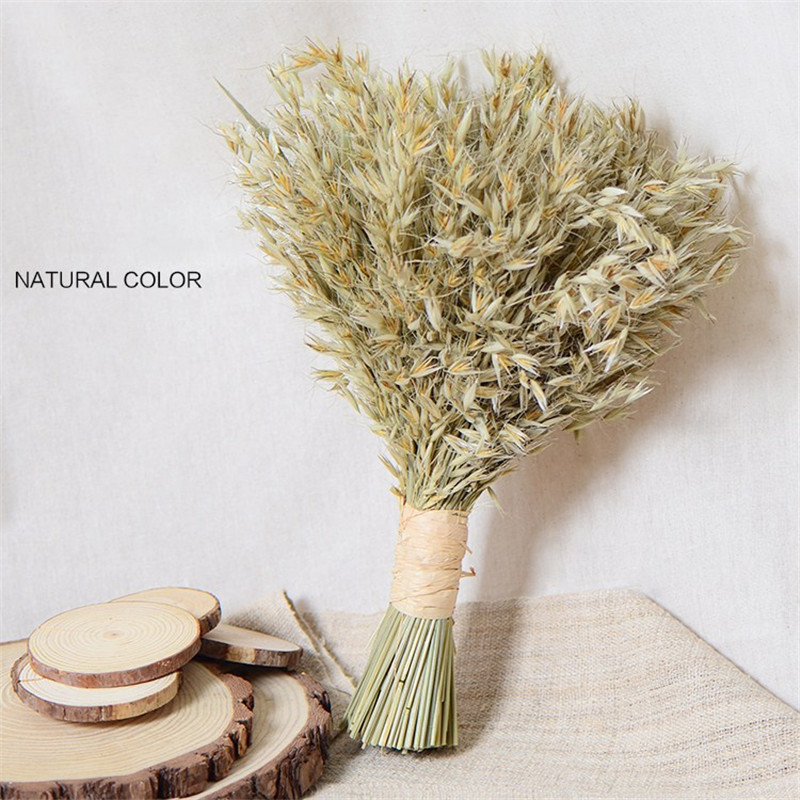 

150pcs dried natural flower bouquets natural dried ear of oats bouquets oats ear bunches, 150pcs color