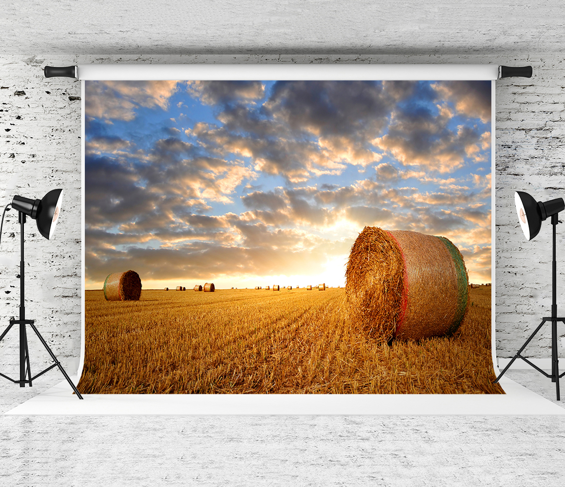 

7x5ft Autumn Straw Bales Backdrop Sunset Blue Sky Haystack Photography Background Fall Harvest Season Photo Backdrops for Holiday Shoot Prop