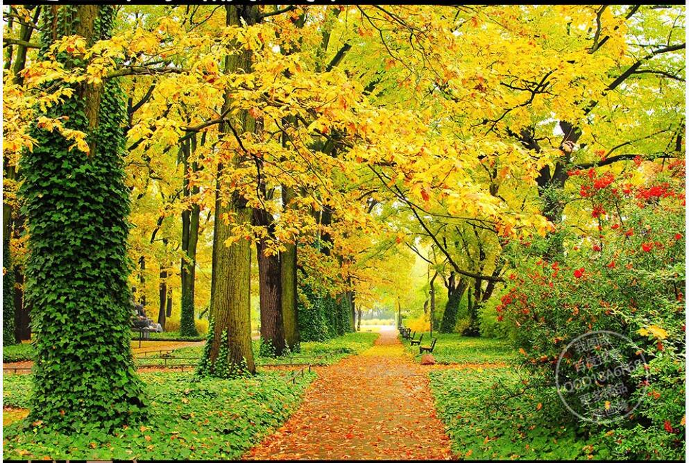 

custom photo wallpaper 3d mural on the wall Golden avenue modern natural scenery living room home decor 3d wall murals for walls 3 d, Non-woven