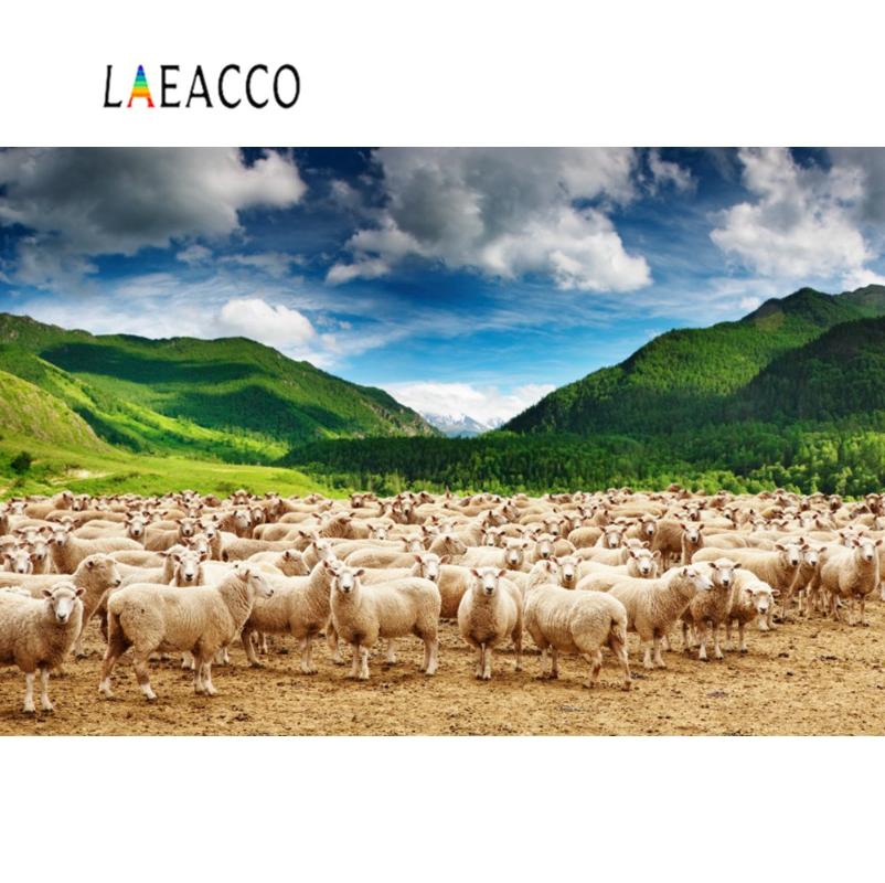 

Laeacco Photography Backdrops Green Grassland Sheep Goat Mountain Farm Blue Sky Cloudy Scenic Photo Background For Photo Studio