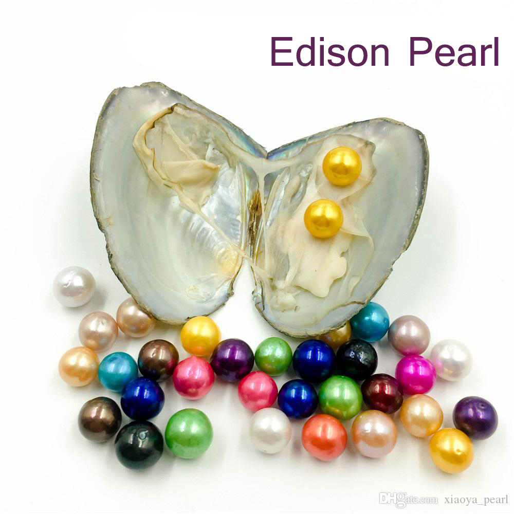 

Wholesale DIY 9-12 mm Round Edison Twins Pearl Oyster High Quality Freshwater Pearl in Vacuum Packed Freshwater Oyster for Jewelry